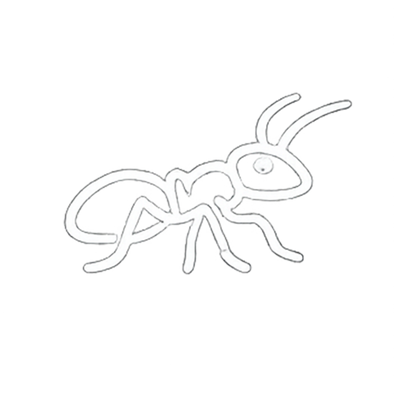 Ants