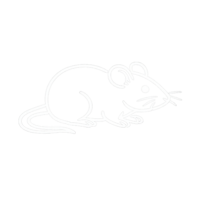 Rodents
