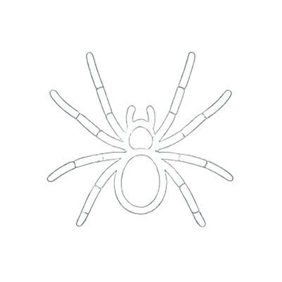 Spiders